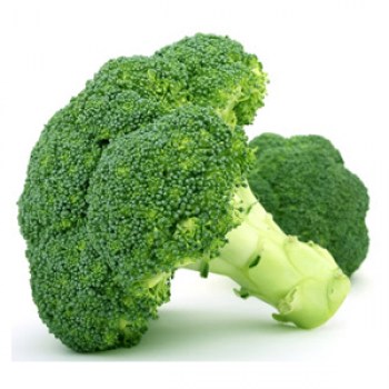 BROCCOLI FROM SPAIN